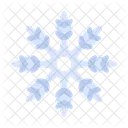 Snowflake Snow Winter Icon