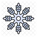 Snowflake Snow Winter Icon