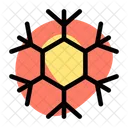 Hexagonal Snowflake Icon
