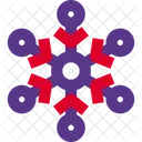 Circle Snowflake Icon