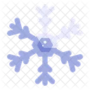Snow Snowflake Climate Icon