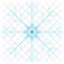 Snowflake Snow Winter Icon