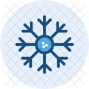 Snowflake Snow Winter Icon