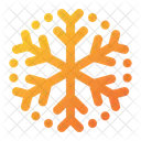 Snowflake Snow Winter Icon