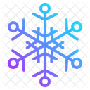 Snowflake Winter Ice Cold Frost Icon