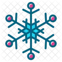 Snowflake Winter Ice Cold Frost Icon