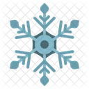 Snowflake Snowflakes Snow Icon