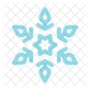 Snowflake  Icon