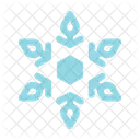 Snowflake  Icon