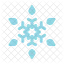 Snowflake  Icon