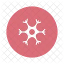 Snowflake Snowflakes Cold Icon