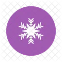 Snowflake Snowflakes Ice Icon