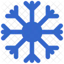 Cold Snowflake Winter Icon