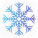 Snowflake Flake Snow Icon