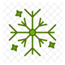 Snowflake  Icon