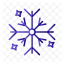 Snowflake Snow Winter Icon