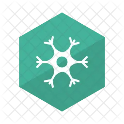 Snowflake  Icon