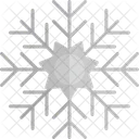 Snowflake Snow Crystal Icon
