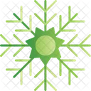 Snowflake Snow Crystal Icon