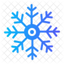 Snowflake Nature Cold Icon