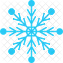 Snowflake Winter Snow Icon