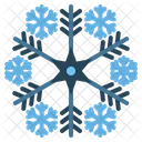 Snowflake Winter Snow Icon