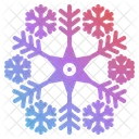 Snowflake Winter Snow Icon