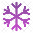 Snowflake Ice Snowflakes Icon