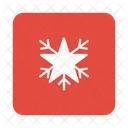 Snowflake Snowflakes Cold Icon