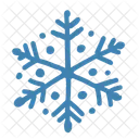 Snowflake Winter Snow Icon