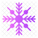 Snowflake Snow Flake Icon