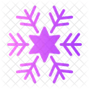 Snowflake Snow Flake Icon