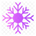 Snowflake Snow Flake Icon