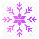 Snowflake Snow Flake Icon