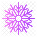 Snowflake Snow Flake Icon