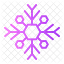 Snowflake Snow Flake Icon