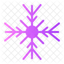 Snowflake Snow Flake Icon