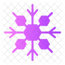 Snowflake Snow Flake Icon