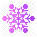 Snowflake Snow Flake Icon