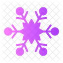 Snowflake Snow Flake Icon