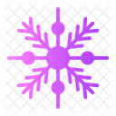 Snowflake Snow Flake Icon