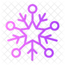 Snowflake Snow Flake Icon