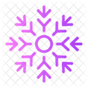 Snowflake Snow Flake Icon