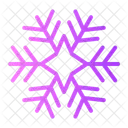 Snowflake Snow Flake Icon