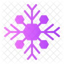 Snowflake Snow Flake Icon