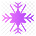 Snowflake Snow Flake Icon