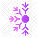 Snowflake Snow Flake Icon