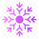 Snowflake Snow Flake Icon