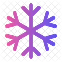 Snowflake Snow Winter Icon