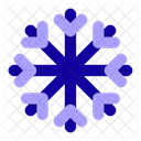 Snowflake Winter Cold Icon